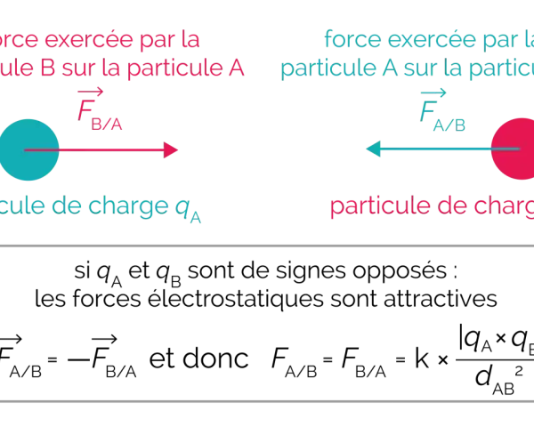 Deux particules chargées, A et B, interagissent par force électrostatique. Si leurs charges sont opposées, la force est attractive.