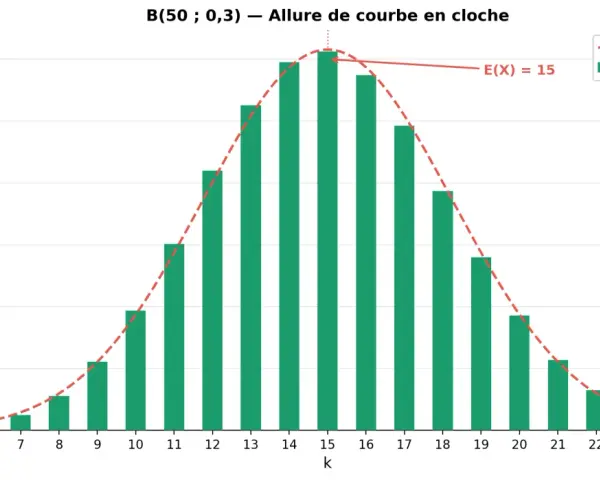 Graphique de la loi binomiale B(50; 0,3) avec une allure de courbe en cloche. L'espérance E(X) est de 15.