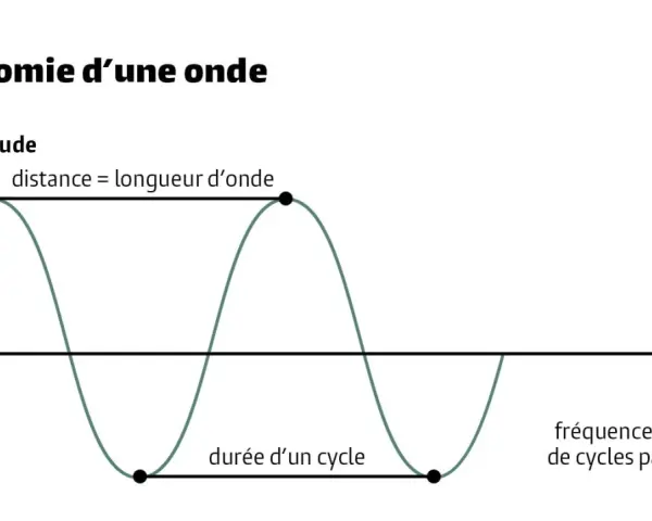 Graphique illustrant c'est quoi une onde : amplitude, longueur d'onde, durée d'un cycle et fréquence.