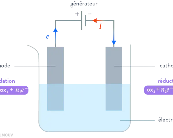 Schéma d'une cellule d'électrolyse terminale : anode (oxydation) et cathode (réduction) dans un électrolyte, connectées à un générateur.