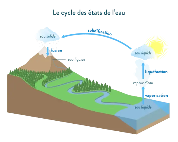 Le cycle de l'eau montre la transformation de l'eau entre ses états solide, liquide et gazeux. La fusion et la solidification illustrent le changement d'état de l'eau.