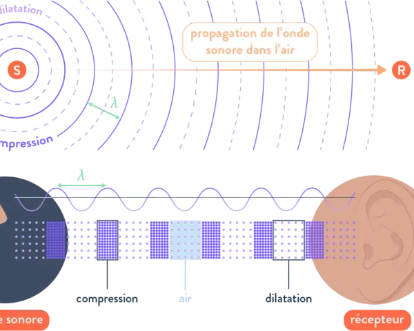 Illustration de la propagation d'une onde sonore, montrant compression et dilatation de l'air, avec une source et un récepteur. L'intensité sonore est représentée par la densité des points.