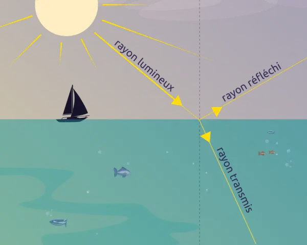 Le soleil projette un rayon lumineux sur l'eau. Une partie est réfléchie, l'autre est transmise, éclairant des poissons.