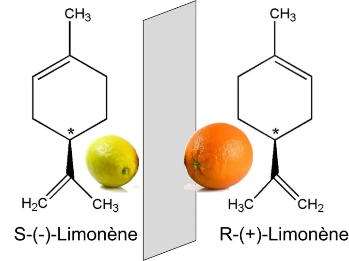 Représentation de la chiralité : le limonène S, associé à un citron, et le limonène R, associé à une orange, sont des images miroir l'un de l'autre.