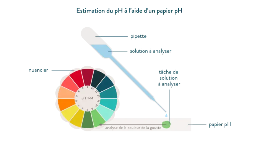 Une pipette dépose une goutte de solution sur du papier pH. La couleur de la goutte est comparée à un nuancier pour estimer le calcul du pH.