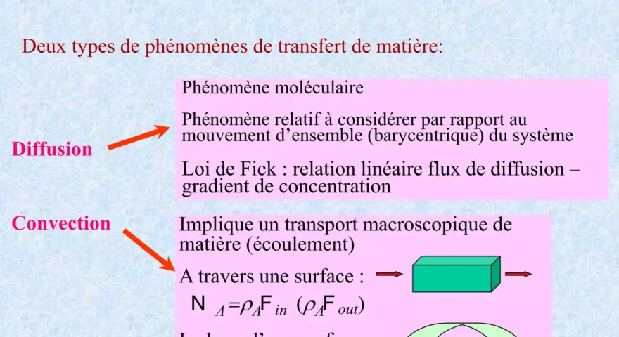 La diffusion est liée à un gradient de concentration, expliquant le flux de matière. La convection implique un transport macroscopique.
