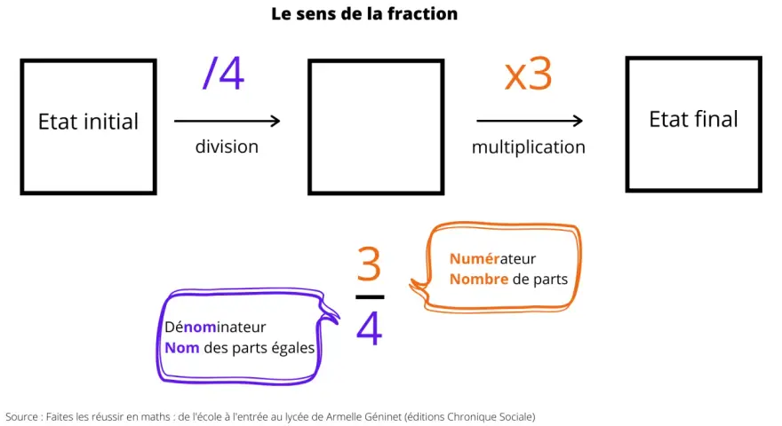 Illustration expliquant les fractions au primaire : division par 4, multiplication par 3, numérateur et dénominateur.