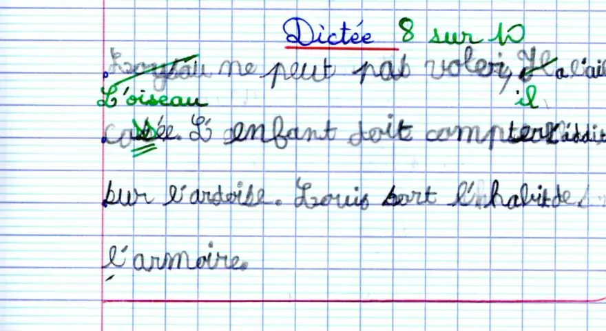 Dictée 8/10. L'oiseau ne peut pas voler. L'enfant doit compter. Louis sort l'habit de l'armoire. Révision CE1.