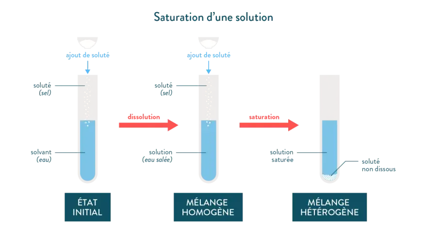 Illustration de la solubilité du sel dans l'eau : ajout de sel à l'eau, dissolution puis saturation avec sel non dissous.