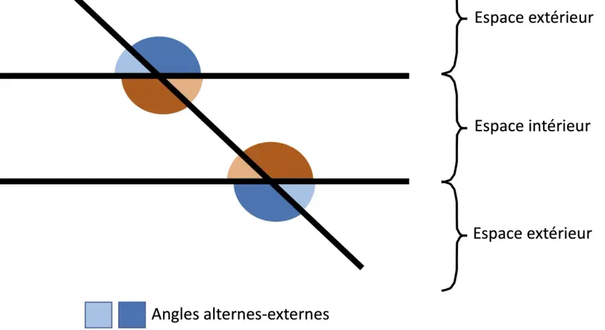 Deux droites parallèles coupées par une sécante. Des cercles colorés indiquent l'angle correspondant, les angles alternes-externes (bleu) et alternes-internes (brun).