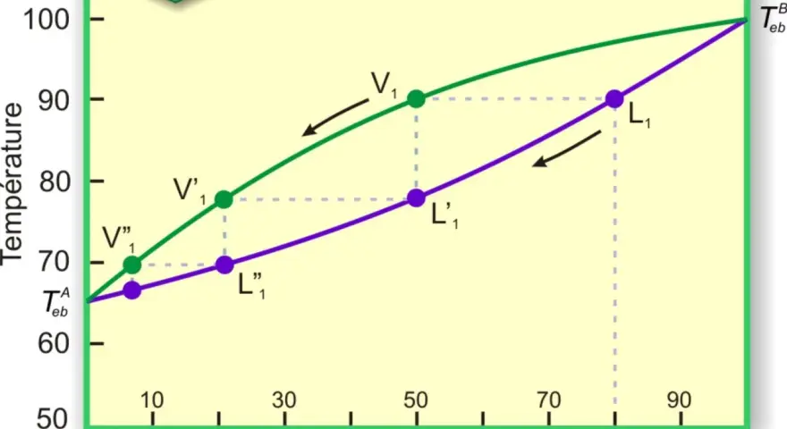 Diagramme de température vs composition illustrant la distillation fractionnée. Les courbes représentent les équilibres liquide-vapeur.