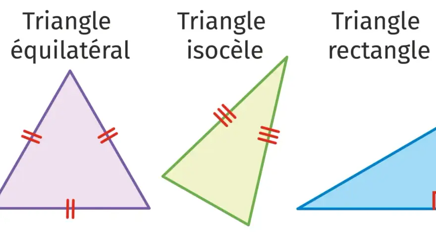 Trois triangles : équilatéral (trois côtés égaux), isocèle (deux côtés égaux) et rectangle.