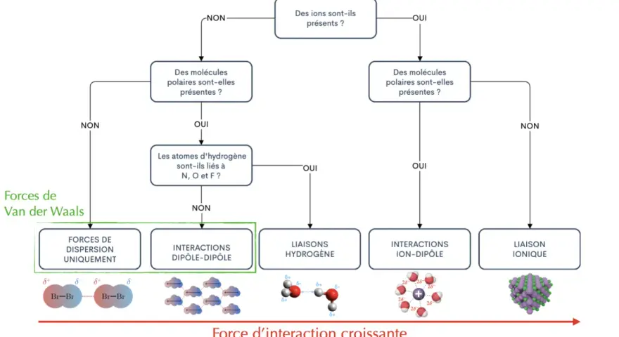 Diagramme de classification des forces intermoléculaires, incluant les interactions dipôle-dipôle pour une molécule polaire.