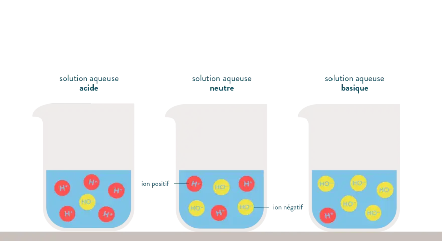Trois béchers illustrent l'ionisation de l'eau : acide (excès H+), neutre (H+ et HO- équilibrés), basique (excès HO-).