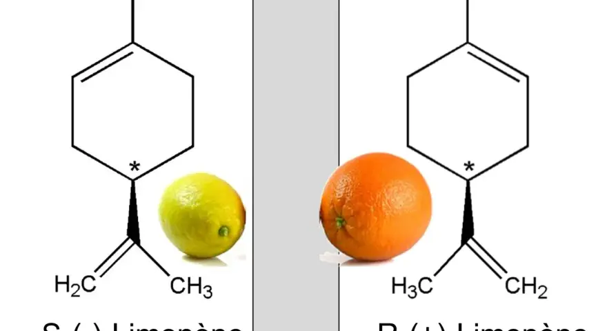 Représentation de la chiralité : le limonène S, associé à un citron, et le limonène R, associé à une orange, sont des images miroir l'un de l'autre.