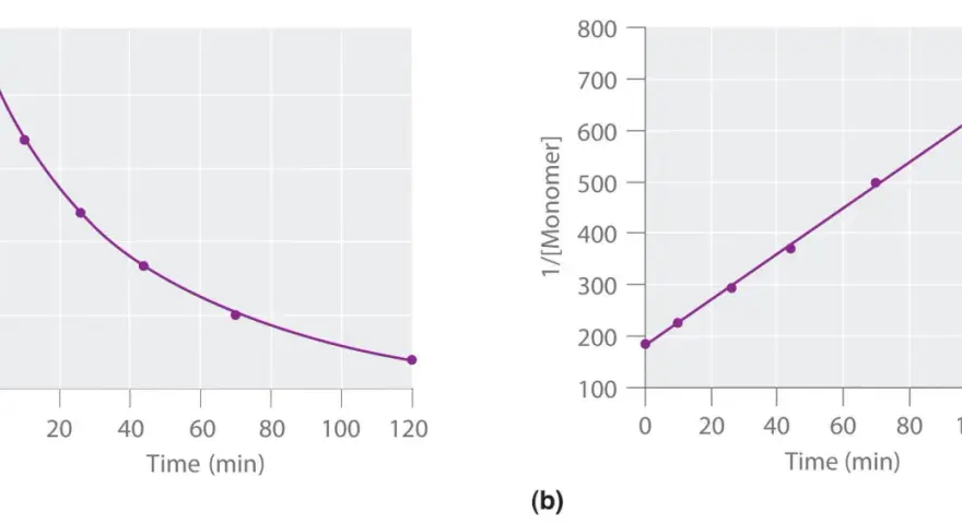 Graphique (a) montrant la diminution de la concentration de monomère au fil du temps, et graphique (b) montrant une relation linéaire pour la loi de vitesse d'ordre 1.