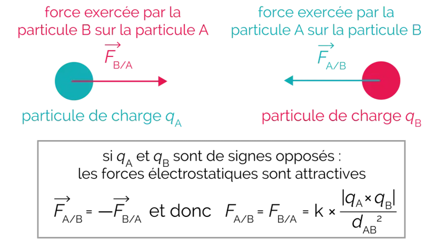 Deux particules chargées, A et B, interagissent par force électrostatique. Si leurs charges sont opposées, la force est attractive.
