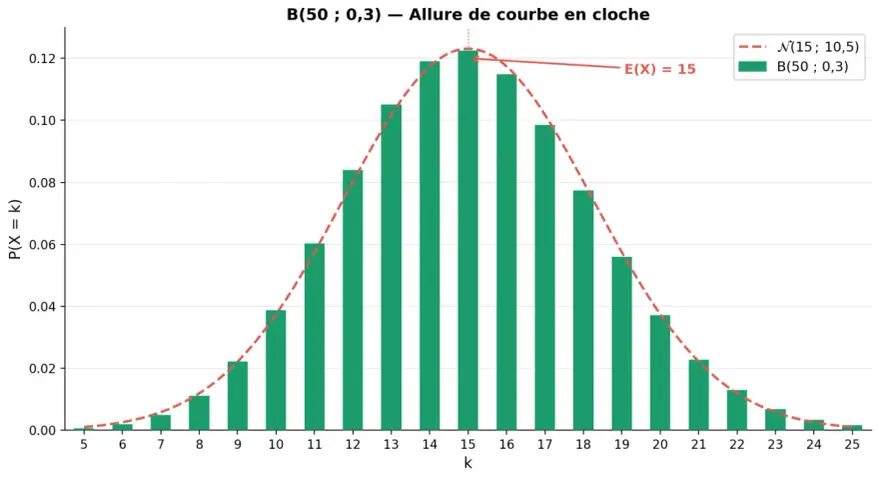 Graphique de la loi binomiale B(50; 0,3) avec une allure de courbe en cloche. L'espérance E(X) est de 15.