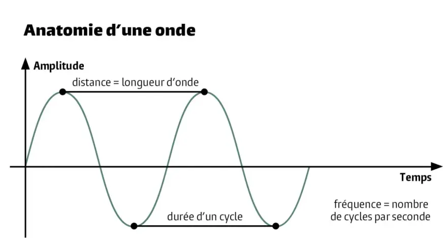 Graphique illustrant c'est quoi une onde : amplitude, longueur d'onde, durée d'un cycle et fréquence.