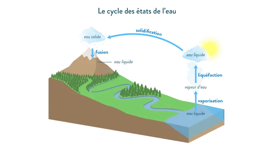 Le cycle de l'eau montre la transformation de l'eau entre ses états solide, liquide et gazeux. La fusion et la solidification illustrent le changement d'état de l'eau.