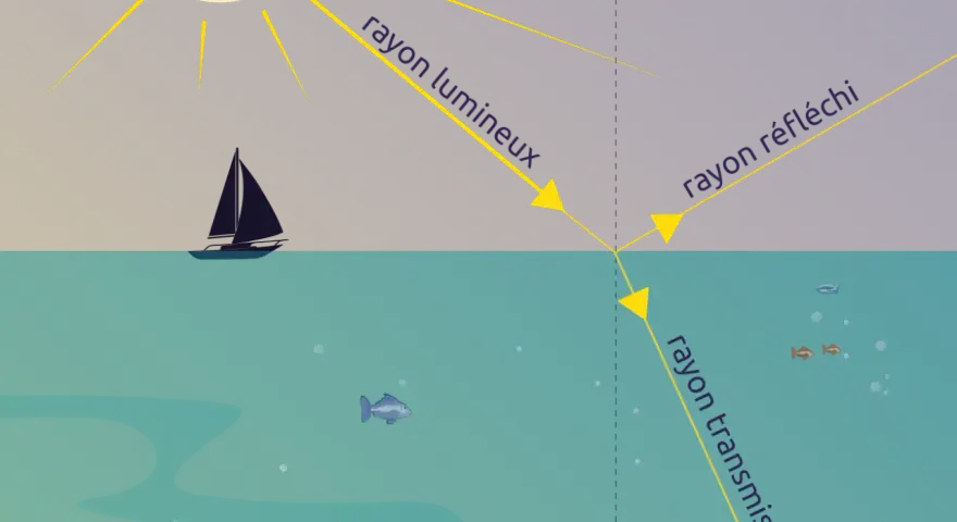 Le soleil projette un rayon lumineux sur l'eau. Une partie est réfléchie, l'autre est transmise, éclairant des poissons.