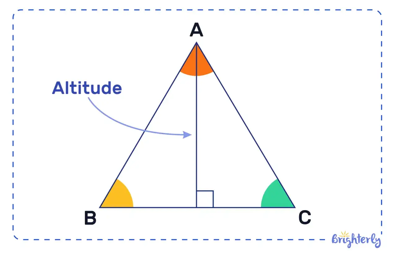 Illustration montrant comment calculer la hauteur d'un triangle. L'altitude est la ligne perpendiculaire d'un sommet à la base opposée.