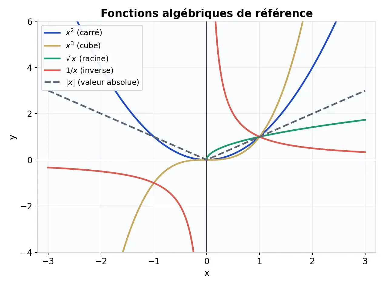 Graphiques de fonctions mathématiques : x² (carré), x³ (cube), √x (racine), 1/x (inverse) et |x| (valeur absolue).