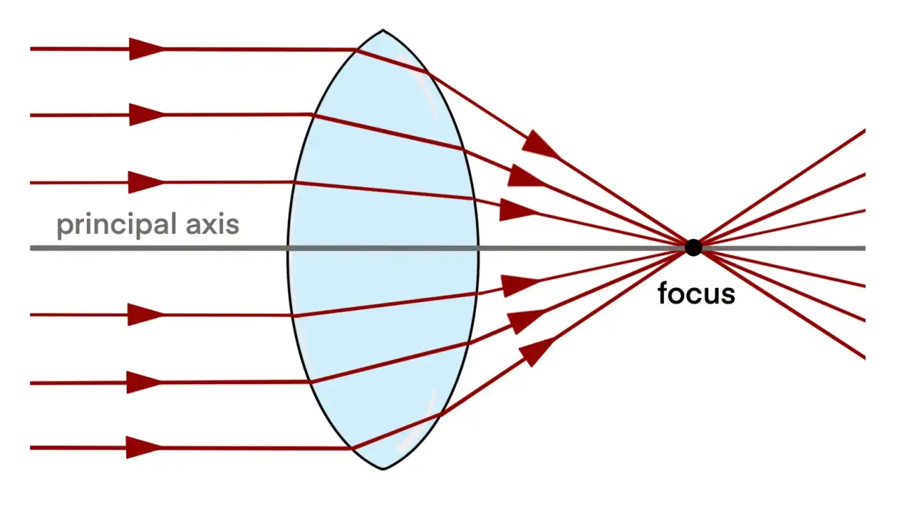 Un rayon de lumière parallèle traverse une lentille convergente et converge vers le point focal.