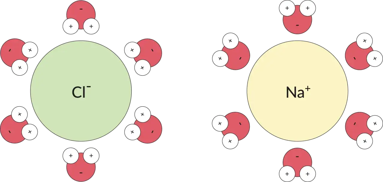 Illustration de la solubilit&eacute; du sel dans l'eau : des ions Na+ et Cl- entour&eacute;s de mol&eacute;cules d'eau polaires.