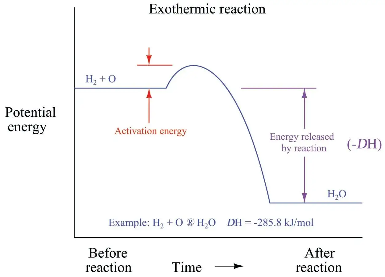 Graphique montrant une r&eacute;action exothermique. L'&eacute;nergie potentielle diminue apr&egrave;s la r&eacute;action, lib&eacute;rant de l'&eacute;nergie. Ce processus est endothermique au d&eacute;but, puis exothermique.