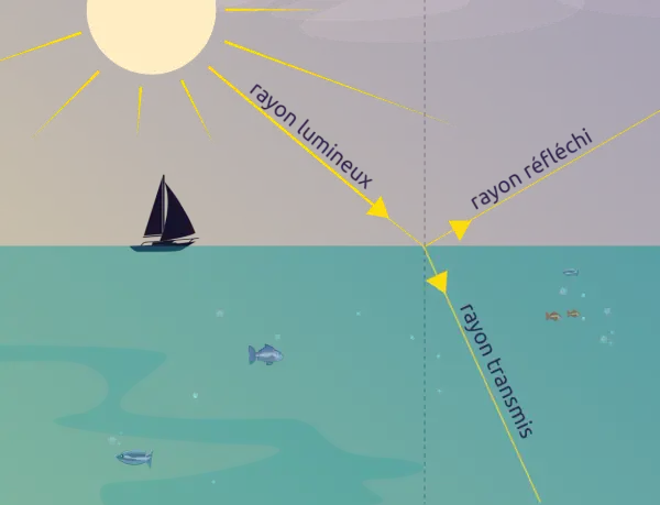 Le soleil projette un rayon lumineux sur l'eau. Une partie est réfléchie, l'autre est transmise, éclairant des poissons.